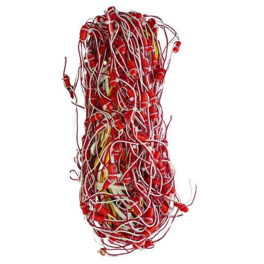 6Feet x 60Feet Red Single Color 9mm High Brightness Toran LED Decoration Lights