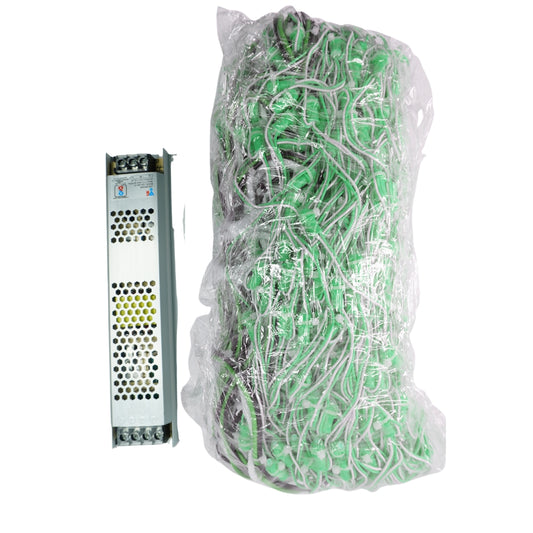 4Feet x 60Feet Green Single Color 9mm High Brightness Toran LED Decoration Lights