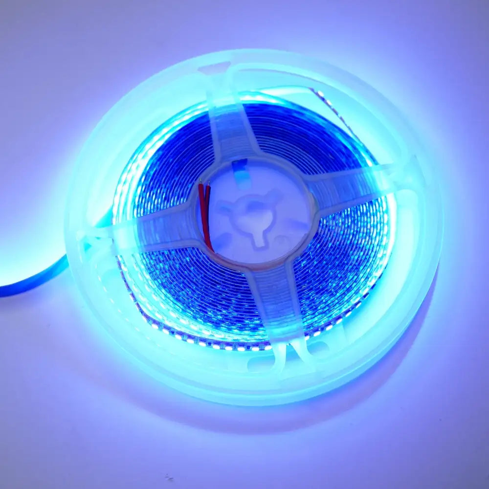 Blue 12V 240LPM LED Strip Light – 5 Meter Single Color
