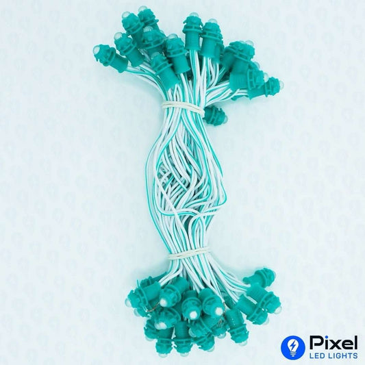 Pixel LED 5inch (Single Color, 50LEDs) 20 Feet Length - Green
