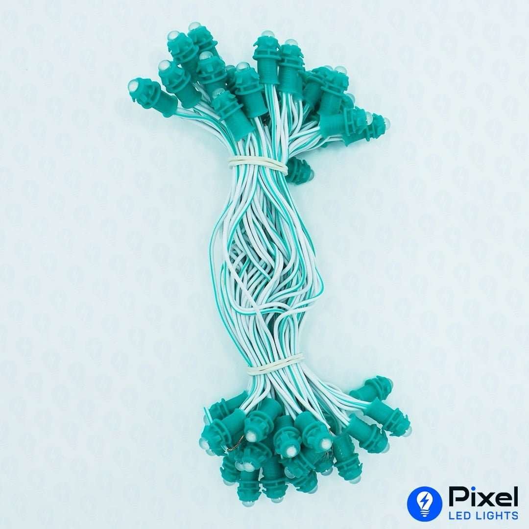 Pixel LED 5inch (Single Color, 50LEDs) 20 Feet Length - Green