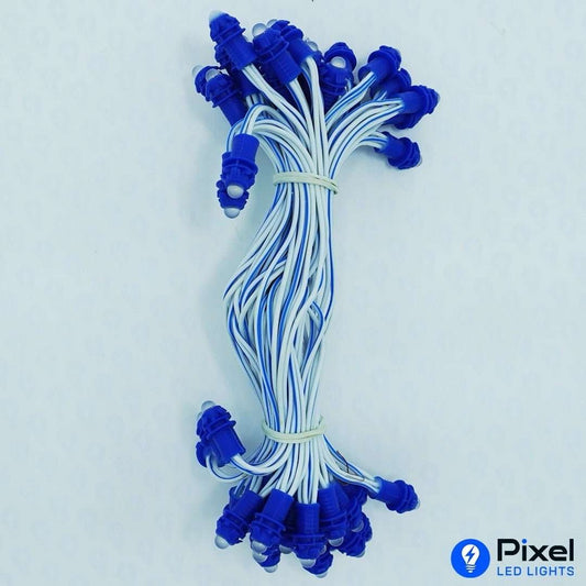 Pixel LED 5inch (Single Color, 50LEDs) 20 Feet Length - Blue