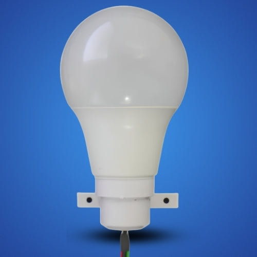 LED Bulbs