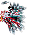 Pixel LED 5inch (Multicolor, WS2811, 50LEDs) 20 Feet Length