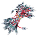 Pixel LED 5inch (Multicolor, WS2811, 50LEDs) 20 Feet Length