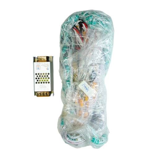 Tiranga LED Toran 6x20 Feet – Tricolor Decoration for 15 August 26 January – With Power Adapter