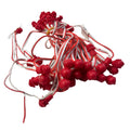 Pixel LED 5nch (Frosted SMD, Single Color, 50 LEDs) 20 Feet Length – Red | Pure Copper Wire