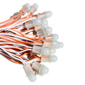Pixel LED 10mm PVC Wire (Single Color, 50 LEDs) 20 Feet Length – Warm White | Pure Copper Wire