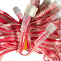 Pixel AC LED String Light - 5 Inch Spacing, 40 Feet, 100 LED (220V AC Direct)
