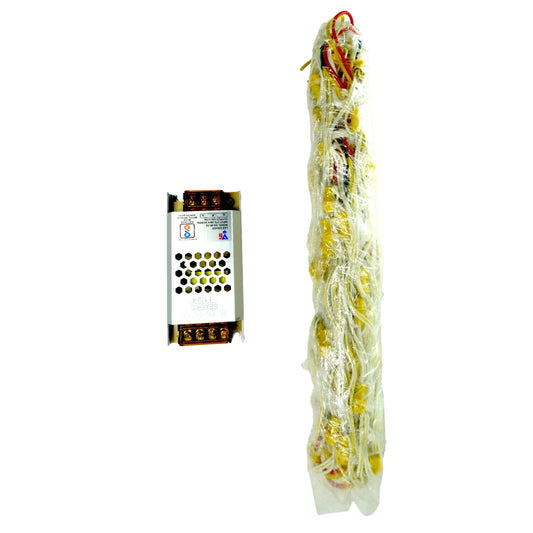 4Feet x 10Feet Yellow Single Color 9mm High Brightness Toran LED Decoration Lights