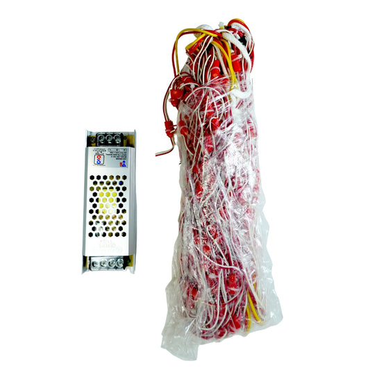 4Feet x 20Feet Red Single Color 9mm High Brightness Toran LED Decoration Lights