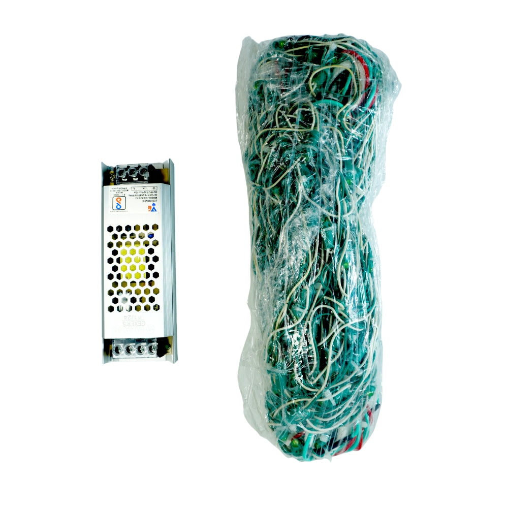 4Feet x 20Feet Green Single Color 9mm High Brightness Toran LED Decoration Lights
