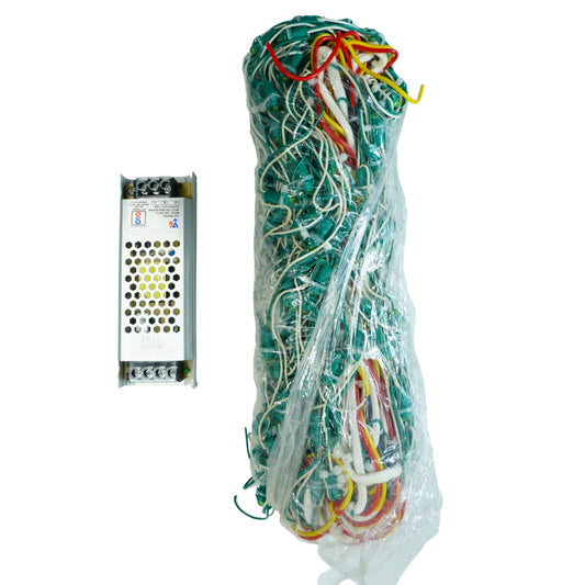 4Feet x 30Feet Green Single Color 9mm High Brightness Toran LED Decoration Lights