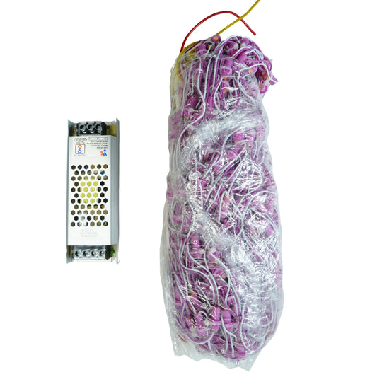 4Feet x 30Feet Pink Single Color 9mm High Brightness Toran LED Decoration Lights