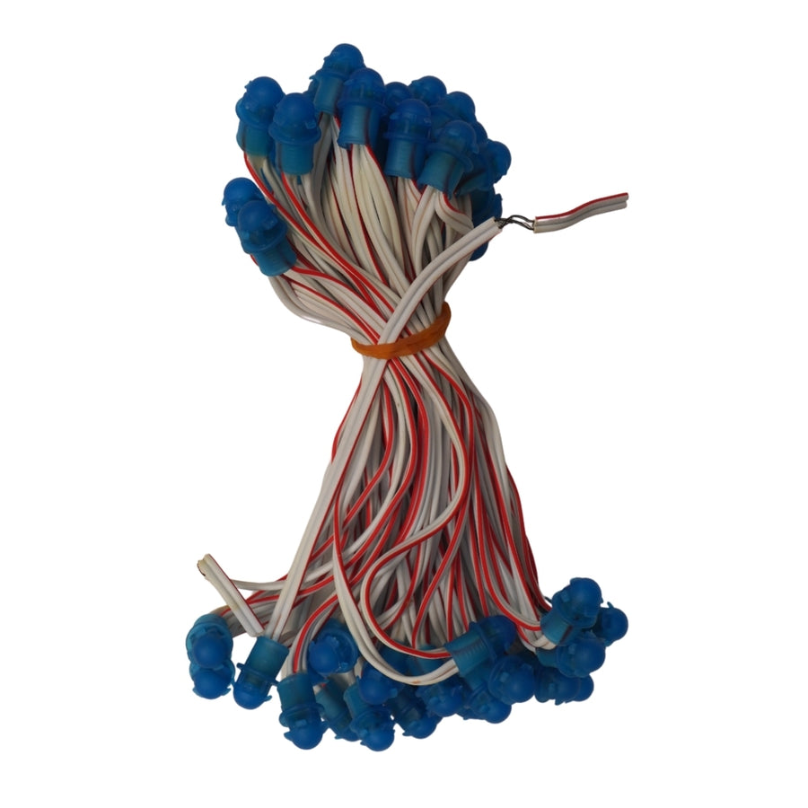 Pixel LED 5inch (Frosted Single Color, 50LEDs) 20 Feet Length - Blue