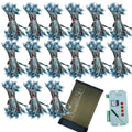Pixel LED Starter Pack 15 Pixel Combo with 80A SMPS & T1000S Controller | Complete Setup Kit