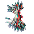 Pixel LED 5 inch (Multicolor, WS2811, 50LEDs) 20 Feet Length