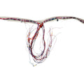 120 Feet 12-Port Pixel LED Connection Patta – Works with Dual T8000 Controller Setup