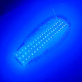 Blue 12V 3-LED Module - 100% Waterproof Direct Light ( Pack Of 10 )