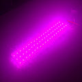 Pink 12V 3-LED Module - 100% Waterproof Direct Light ( Pack Of 10 )