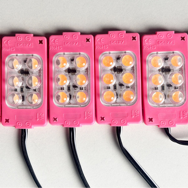 Pink 12V LED Flasher - 100% Waterproof Auto-Flashing Pixel ( Pack Of 10 )