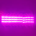 Pink 12V 3-LED Module - 100% Waterproof Direct Light ( Pack Of 10 )