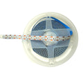 Blue 12V 240LPM LED Strip Light – 5 Meter Single Color