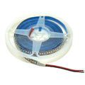 Blue 12V 240LPM LED Strip Light – 5 Meter Single Color