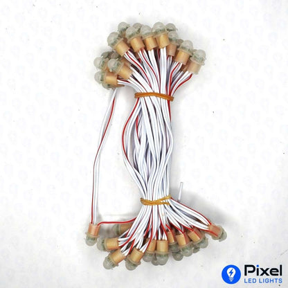 Pixel LED 5inch (Frosted Single Color, 50LEDs) 20 Feet Length - Red