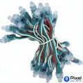 Pixel LED 3inch (Multicolor, WS2811, 50LEDs) 12 Feet Length - SKU 1001