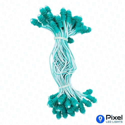 Pixel LED 5inch (Single Color, 50LEDs) 20 Feet Length - Green