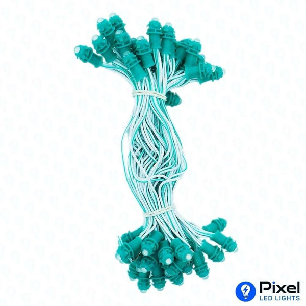 Pixel LED 5inch (Single Color, 50LEDs) 20 Feet Length - Green