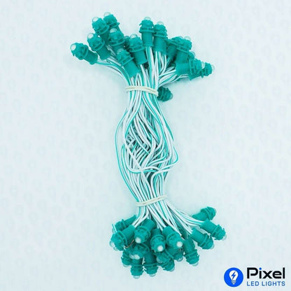 Pixel LED 5inch (Single Color, 50LEDs) 20 Feet Length - Green
