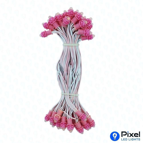Pixel LED 5inch (Single Color, 50LEDs) 20 Feet Length - Pink