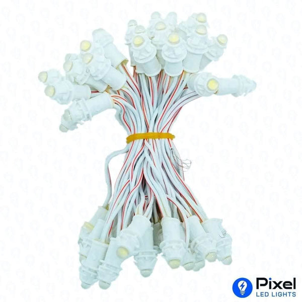 Pixel LED 3inch (Single Color, 50LEDs) 12 Feet Length - White