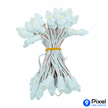 Pixel LED 3inch (Single Color, 50LEDs) 12 Feet Length - White