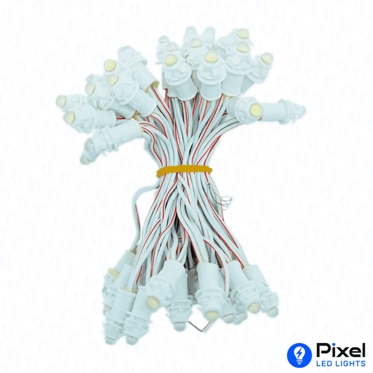 Pixel LED 3inch (Single Color, 50LEDs) 12 Feet Length - White