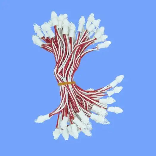 Pixel LED 12v 5inch (RG RB Color, 50LEDs) 20 Feet Length